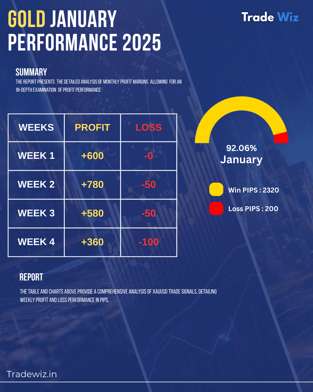 Jan 2025 performance report